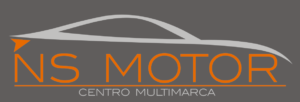 logo nsmotor 300x102