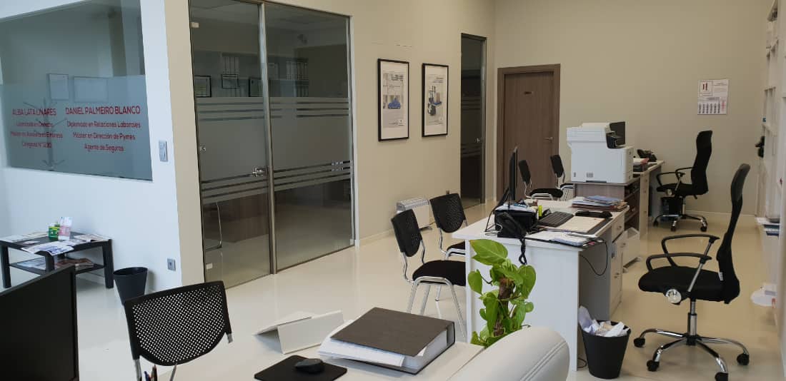 palmeiro linares img 03